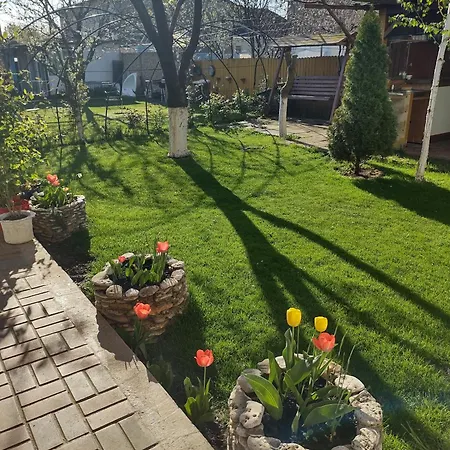 Casa Olga Проживание в семье