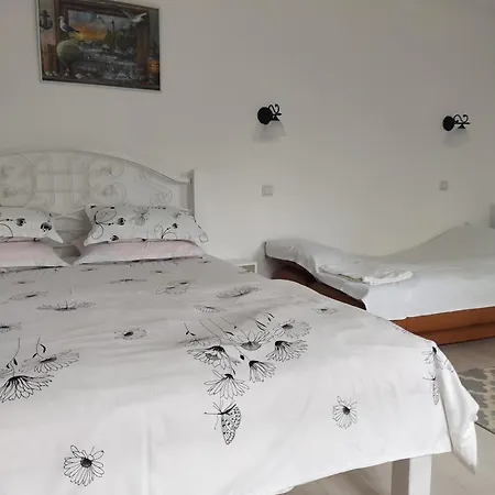 Casa Olga دووا مايْ